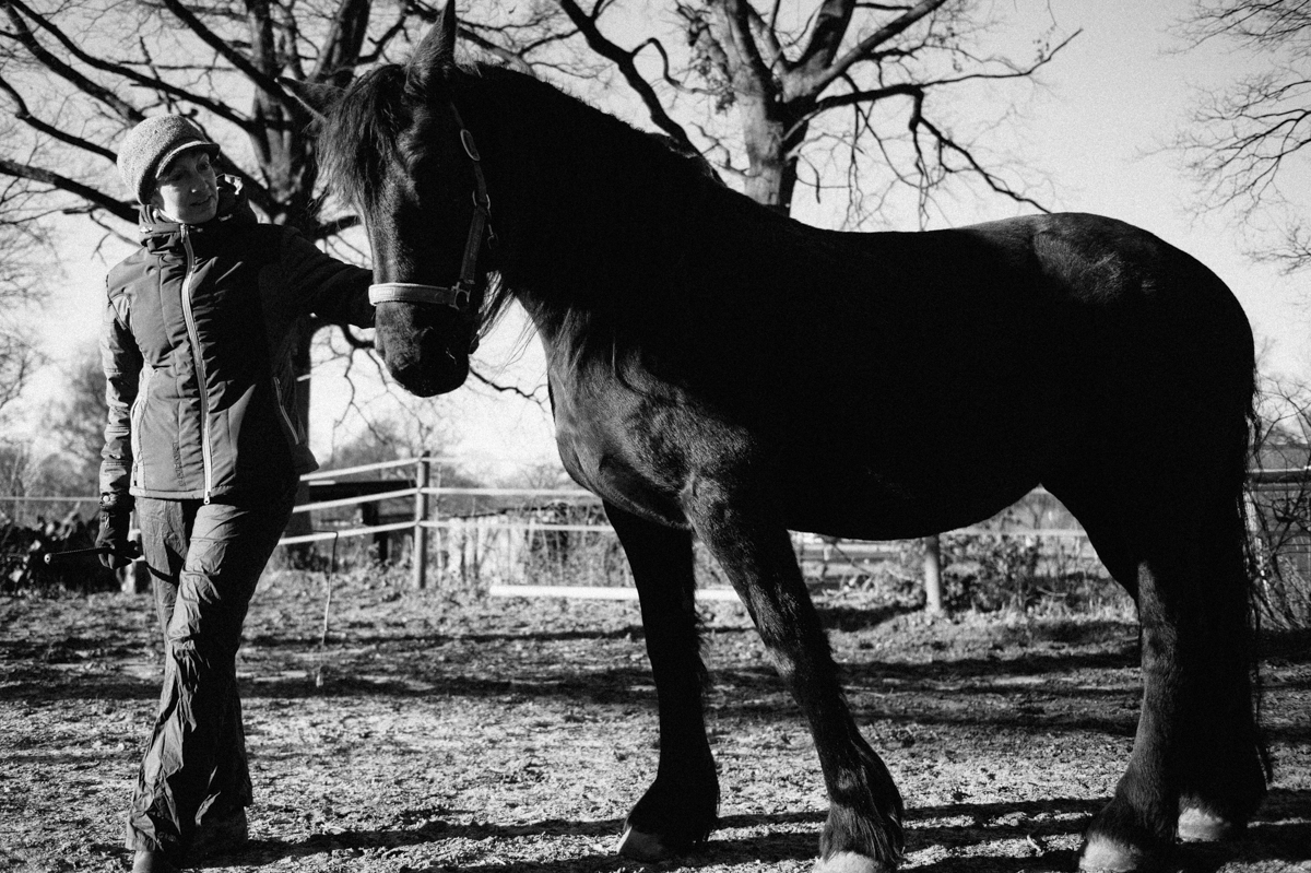 Pferd, Fotograf, Tier, Hamburg, Kathrin Stahl, 004
