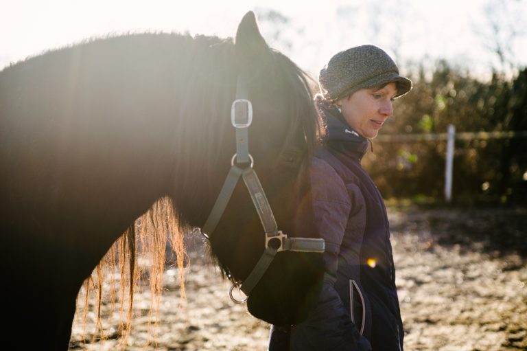 Pferd, Fotograf, Tier, Hamburg, Kathrin Stahl, 011