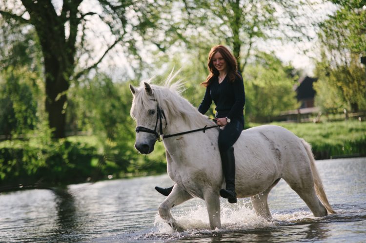Photographer, Horse, documentary, Pferd, Kathrin Stahl-33
