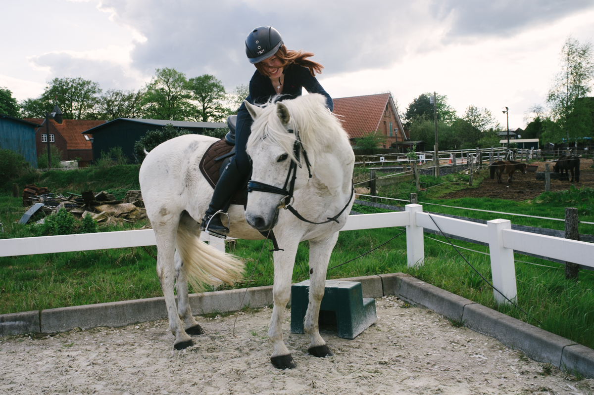 Pferdefotografin, Horse, documentary, Pferd, Kathrin Stahl